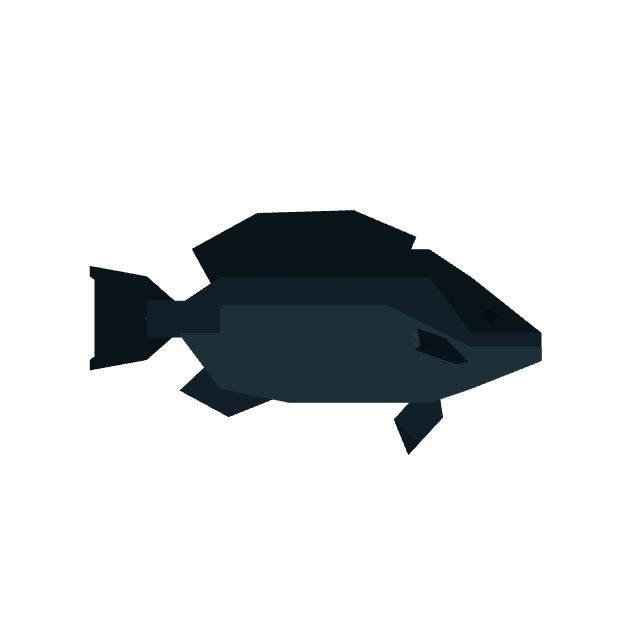 Blackfish