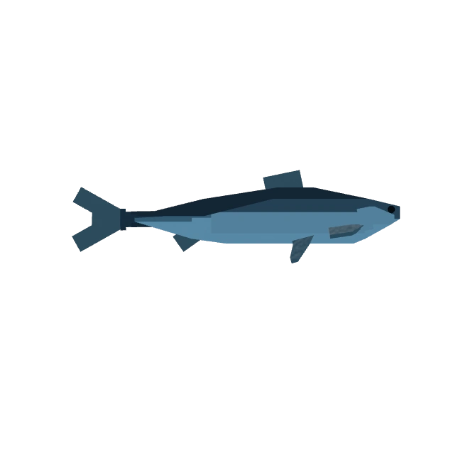 Herring
