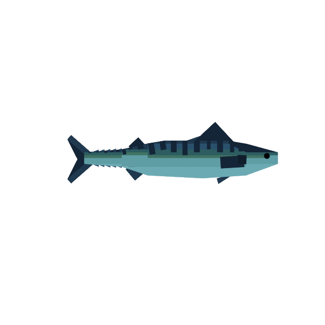 Mackerel