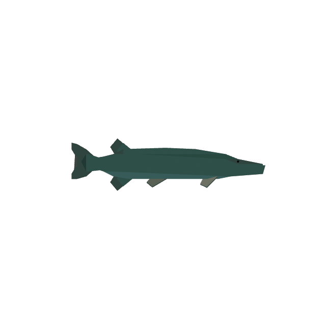 Pike
