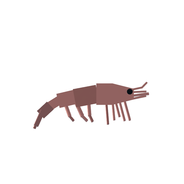 Prawn