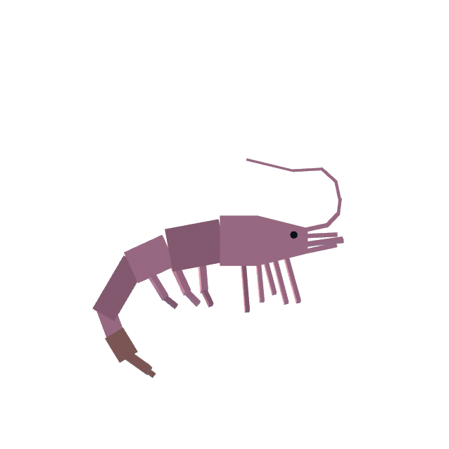 Shrimp