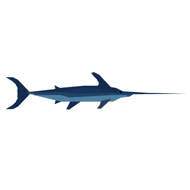 Swordfish